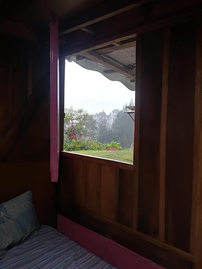 Finca Cafetera El Coral Jardin Ngoại thất bức ảnh