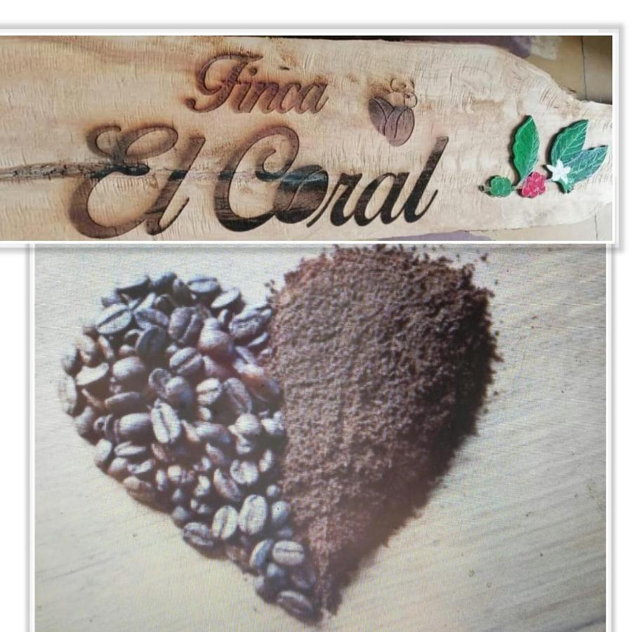 Finca Cafetera El Coral Jardin Ngoại thất bức ảnh