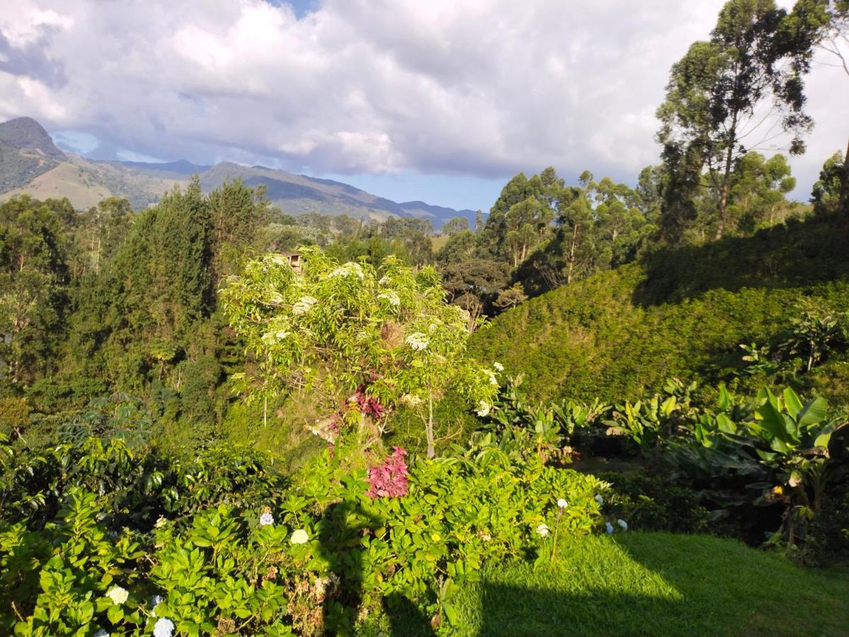 Finca Cafetera El Coral Jardin Ngoại thất bức ảnh