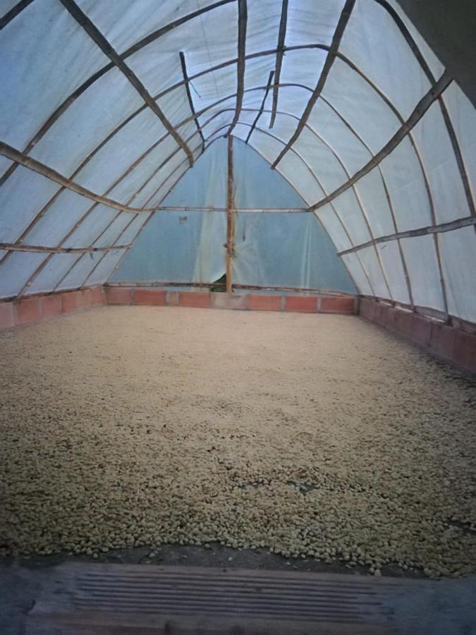 Finca Cafetera El Coral Jardin Ngoại thất bức ảnh